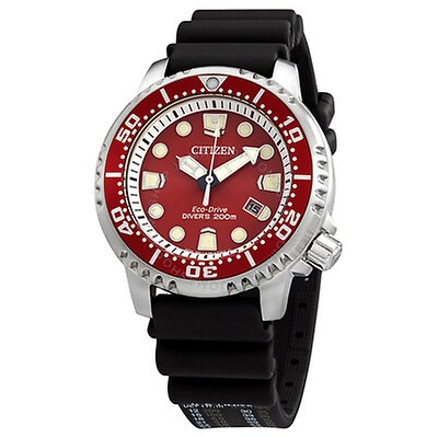 citizen red dial