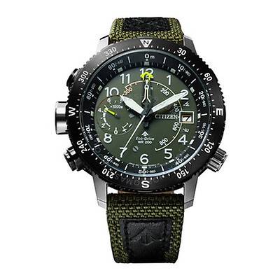 citizen promaster green dial