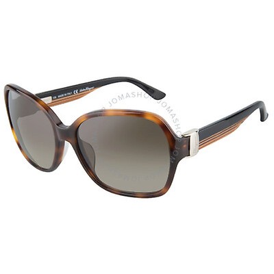 Salvatore Ferragamo Brown Cat Eye Ladies Sunglasses SF675S 214 55 ...