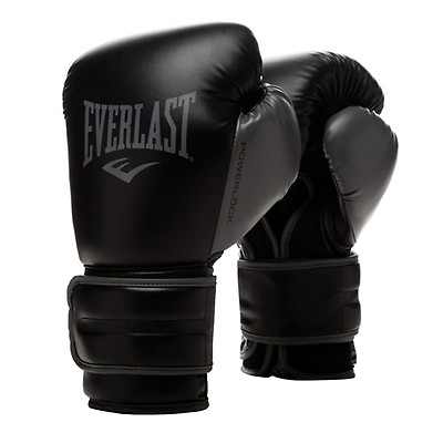 Everlast Pro Style Elite Workout Training Boxing Gloves, 12 Ounces