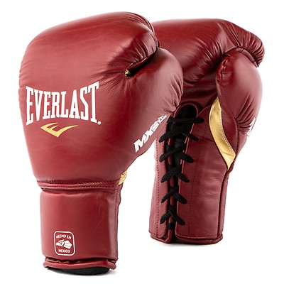 Everlast Powerlock2 Pro Training Boxing Gloves - Hook & Loop