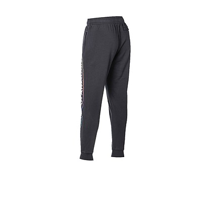 Pantalon Under Armour Entrenamiento Tech 2.0 Mujer Gris