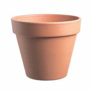 GLINENI SADILNI LONEC EUGANEA VASI STANDARD 5 CM