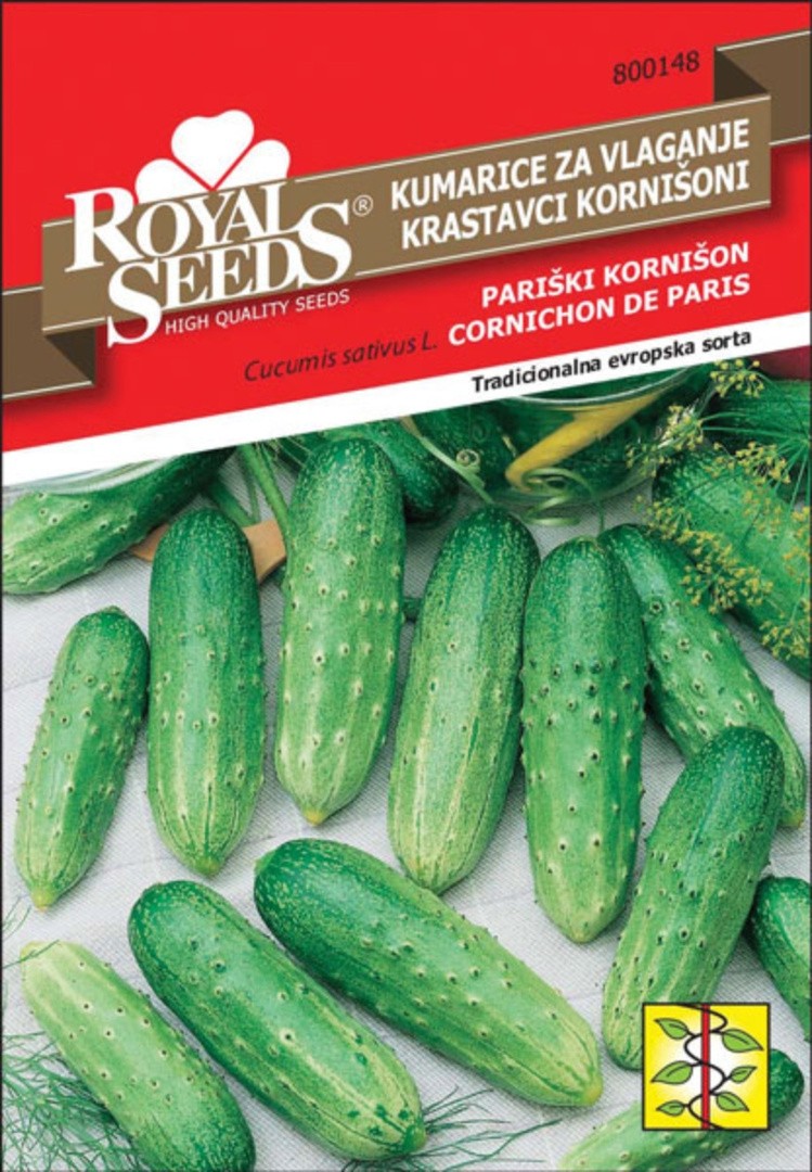 PLODOVKA ROYAL SEEDS KUMARE PARIŠKI KORN. 148