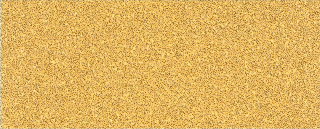 SAMOPRITDILNI BRUSNI LIST BOSCH 93X230MM BREZ LUKENJ G40 EXC470 ZA LES IN BARVO