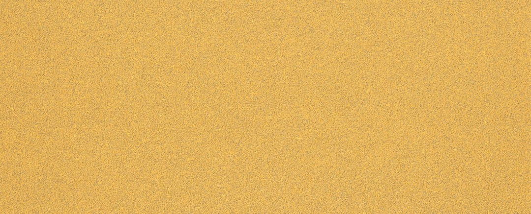 SAMOPRITDILNI BRUSNI LIST BOSCH 93X230MM BREZ LUKENJ G60 EXC470 ZA LES IN BARVO