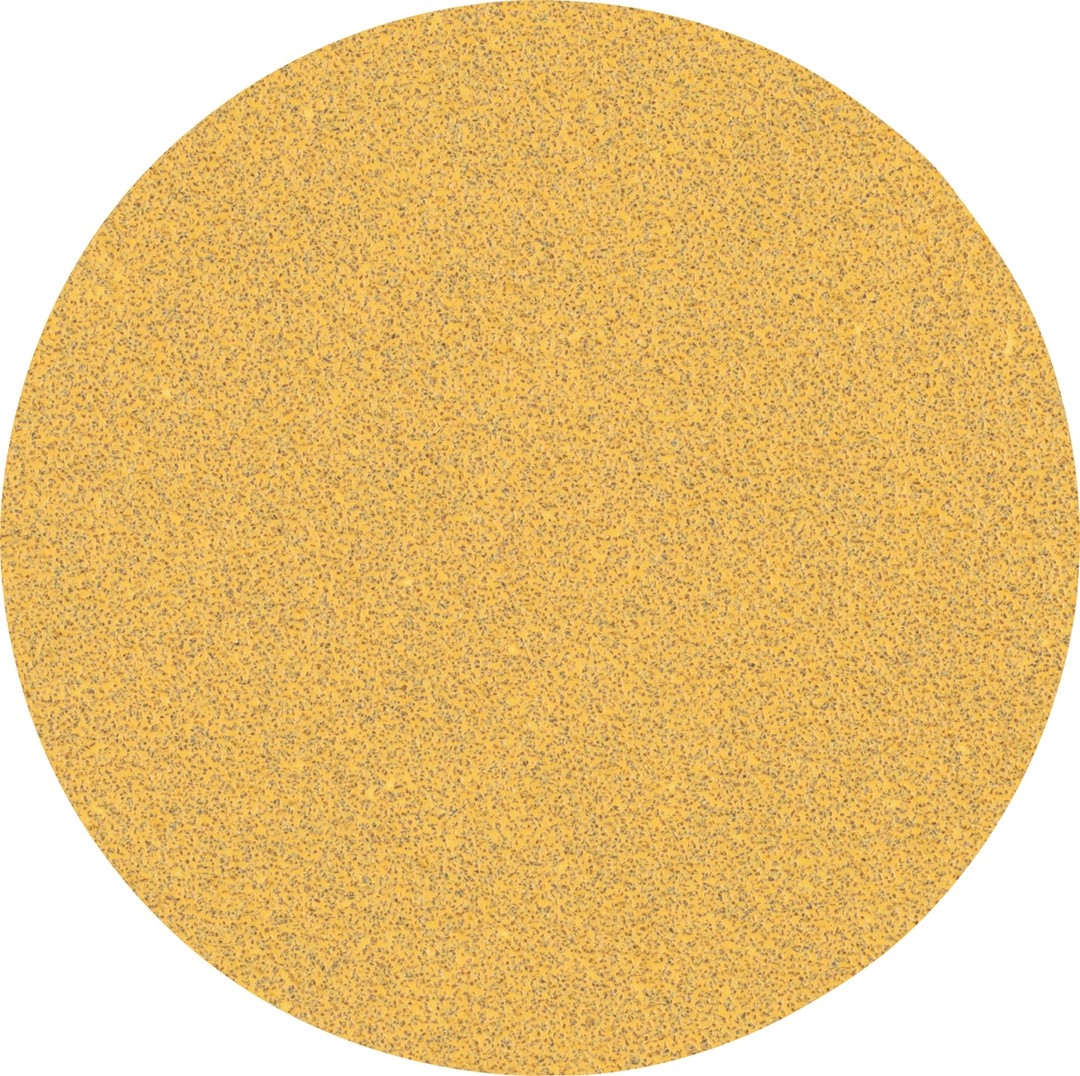 SAMOPRITRILNI BRUSNI DISK BOSCH 125MM BREZ LUKENJ G60 EXC470 ZA LES IN BARVO