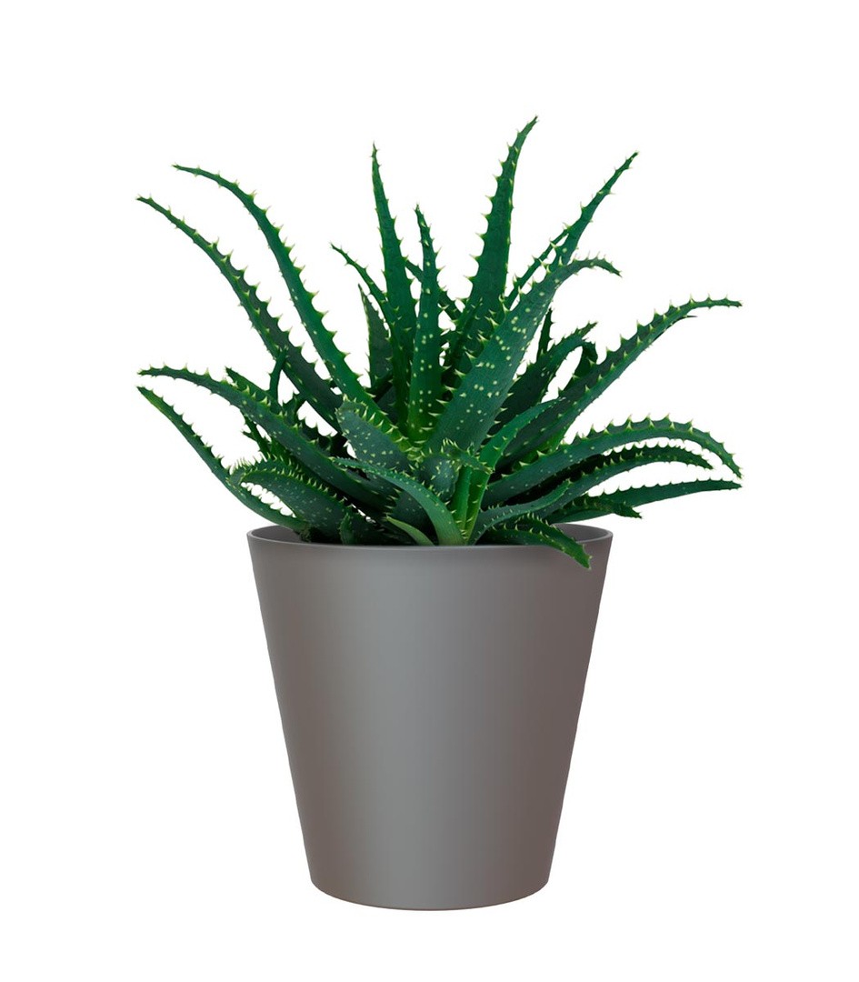 PE NOTRANJI LONEC PORTO ANTRACIT 14CM