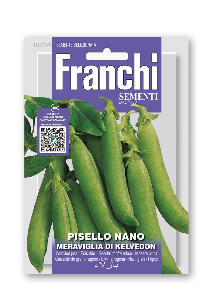 STROČNICA FRANCHI SEMENTI NIZEK GRAH KELVEDON
