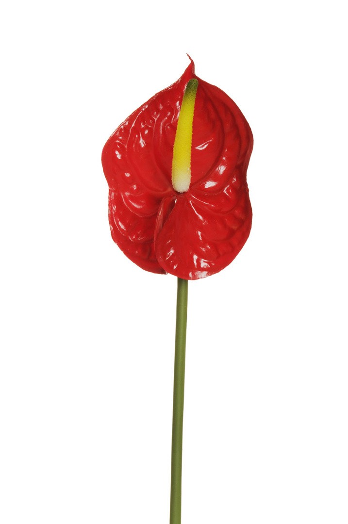UMETNO CVETJE EVERGREENS ANTHURIUM RDEČ