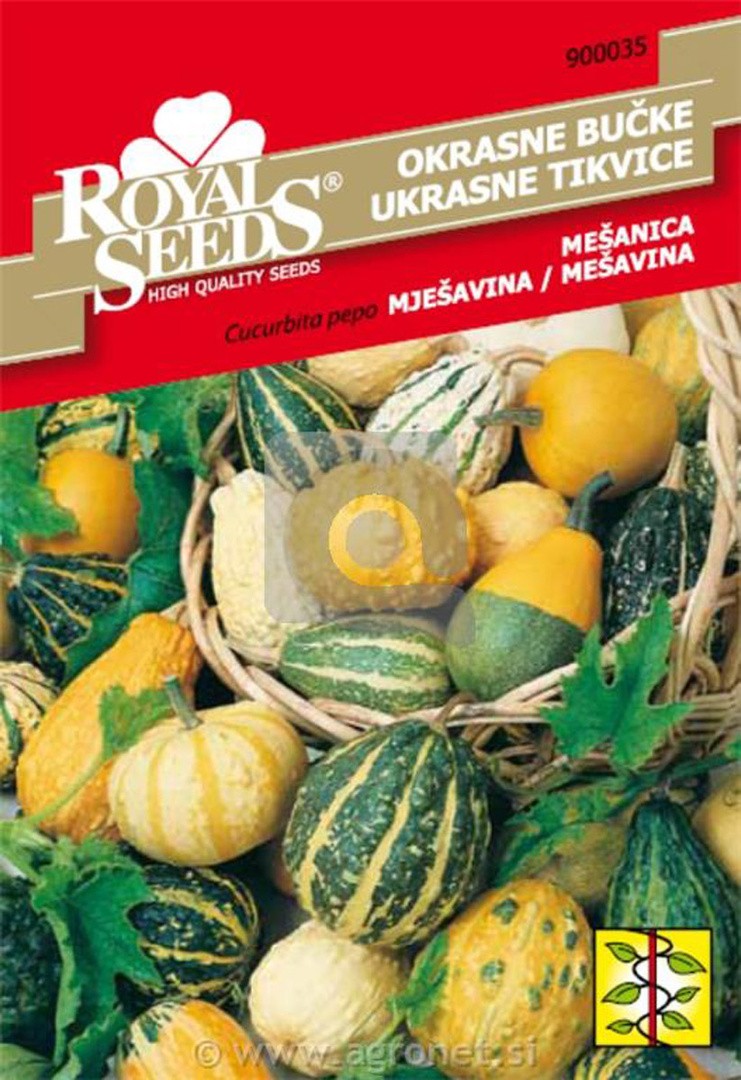 PLODOVKA ROYAL SEMENA 35 OKRASNE BUČKE MEŠANICA