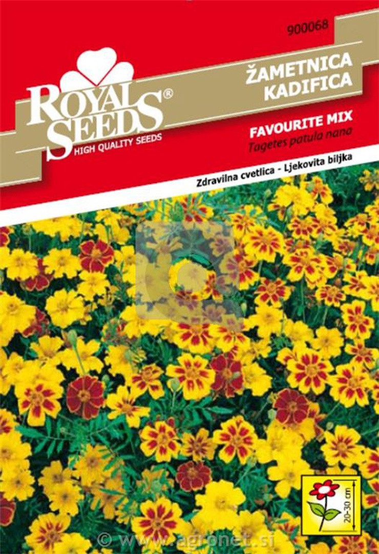 TAGETES ROYAL SEMENA 68 ŽAMETNICA NIZKA