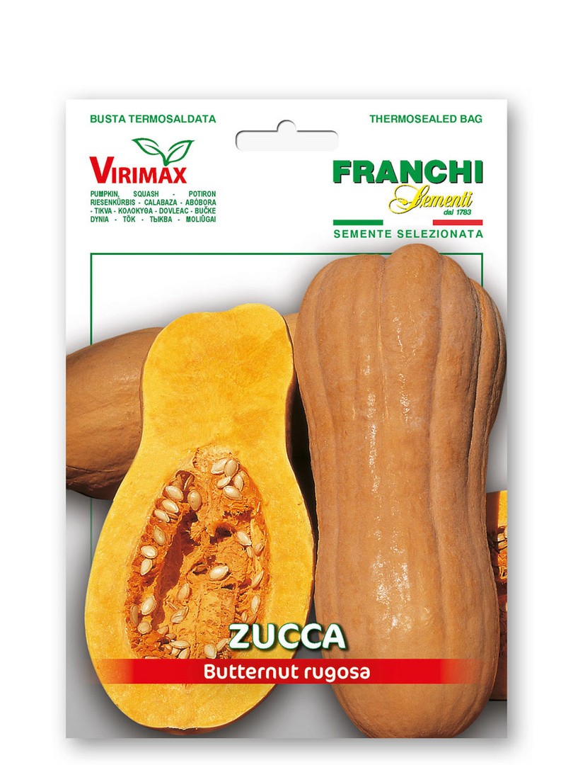 PLODOVKA FRANCHI SEMENTI BUČA BUTTERNUT RUGOSA