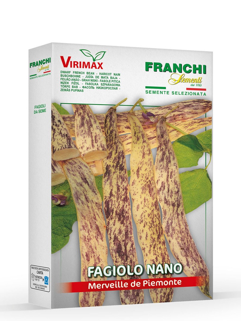 STROČNICA FRANCHI SEMENTI NIZEK FIŽOL MERAVIGLIA DEL PIEMONTE