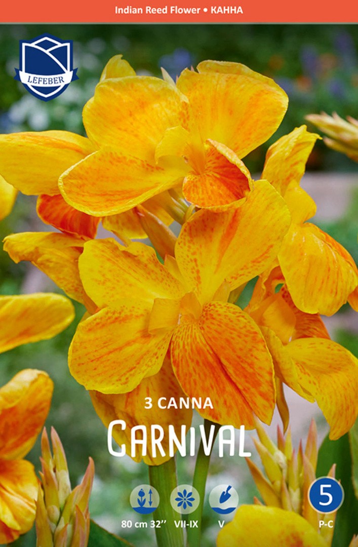 L KANA CARNIVAL
