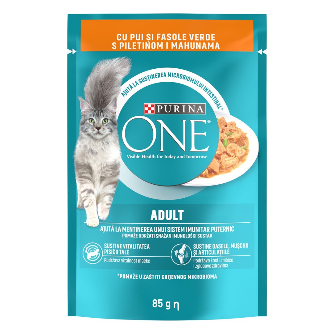 ONE MOKRA HRANA ADULT PIŠČ. IN STROČ. FIŽ. 85G