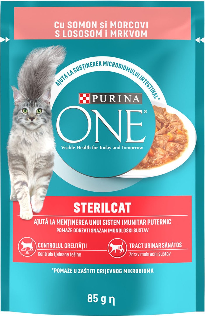 ONE MOKRA HRANA STERIL LOSOS IN KOR. 85G