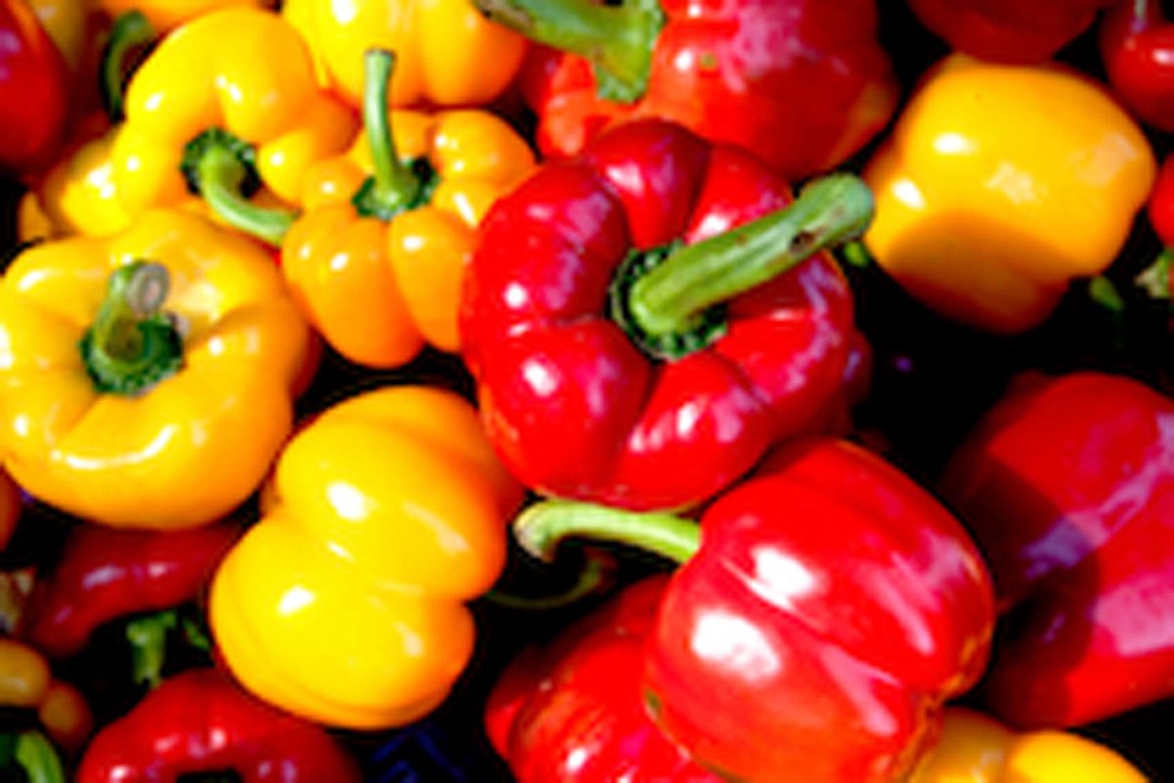 PLODOVKE PAPRIKA PARADIŽNIK 4 KOS
