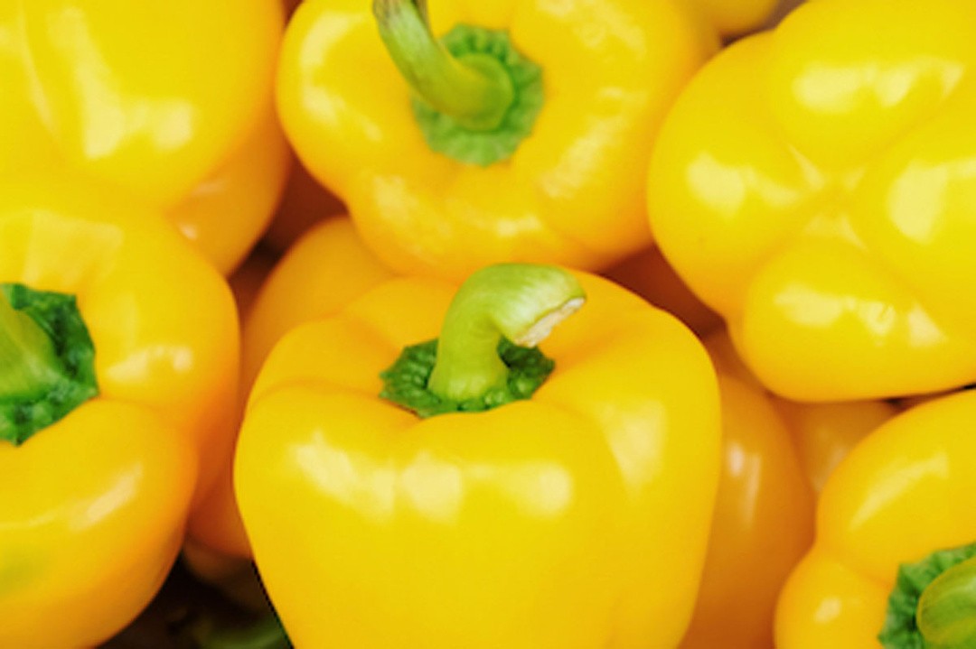 PLODOVKE PAPRIKA RUMENA L10 CM