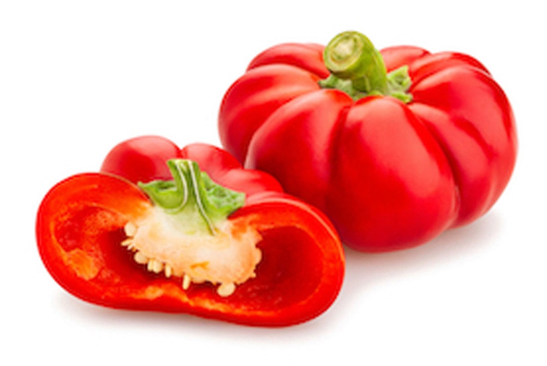 PLODOVKE PAPRIKA PARADIŽNIK L10 CM