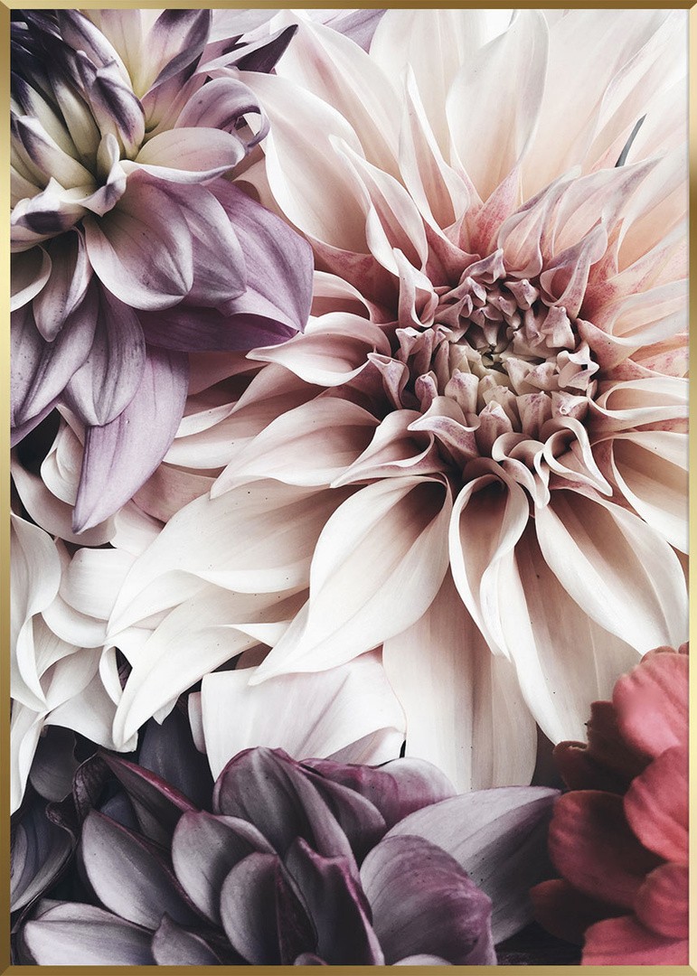 SLIKA STYLER FLOWERS Z OKVIRJEM 50X70 AB053