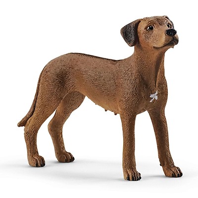 Schleich - Goldendoodle