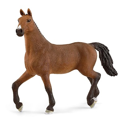 Schleich 72143 Quarter Horse Pferd Exclusive Sammlung Horse Live Sonderedition 