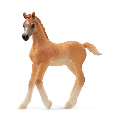 Schleich Horse - Hanoverian Mare – Elenfhant