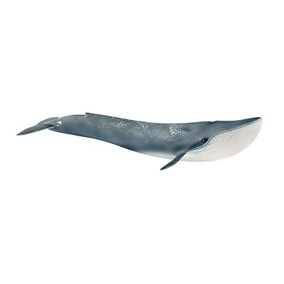 Schleich Sperm Whale SL14764 Miniature Animal Figure Toy