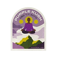 Purple Kush CBD 1:1 Auto феминизирани семена