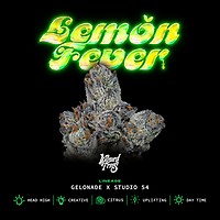 Lemon Fever феминизирани семена