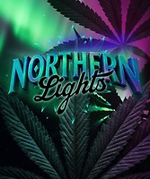 Northern Lights феминизирани семена