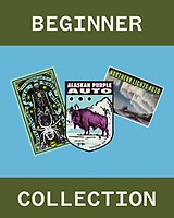 Beginner Collection Auto Feminizované Semena