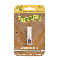 Garlic Budder Feminised Seeds