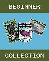Beginner Collection Auto Feminisiert Saatgut