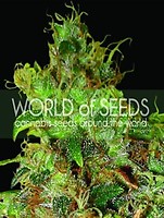 Northern Light x Skunk Feminised Seeds