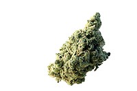 Lemon Ice Feminised Seeds