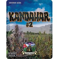 Kandahar Arghandab #2 Regular Seeds