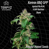 Korean BBQ GPP Regular Seeds