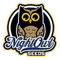 91 Berries Auto Feminised Seeds