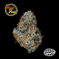 Fruit Fuel Feminised Seeds