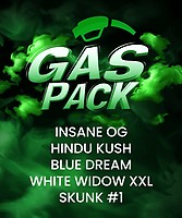 Gas Pack Bundle Feminised Seeds