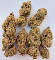 Magic Carrot Feminised Seeds