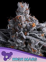 High Mars Feminised Seeds