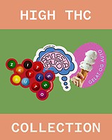 High-THC Collection Auto θηλυκοποιημένα σπόροι