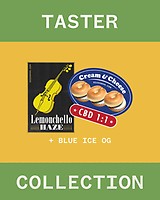 Taster Collection θηλυκοποιημένα σπόροι