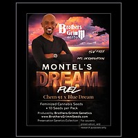 Montel's Dream Fuel Feminizowane Nasiona