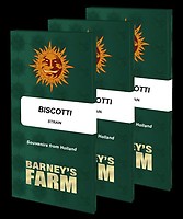 Biscotti Feminiserad Frön