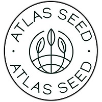 GMO Fast Feminised Seeds