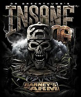 Insane OG Feminised Seeds